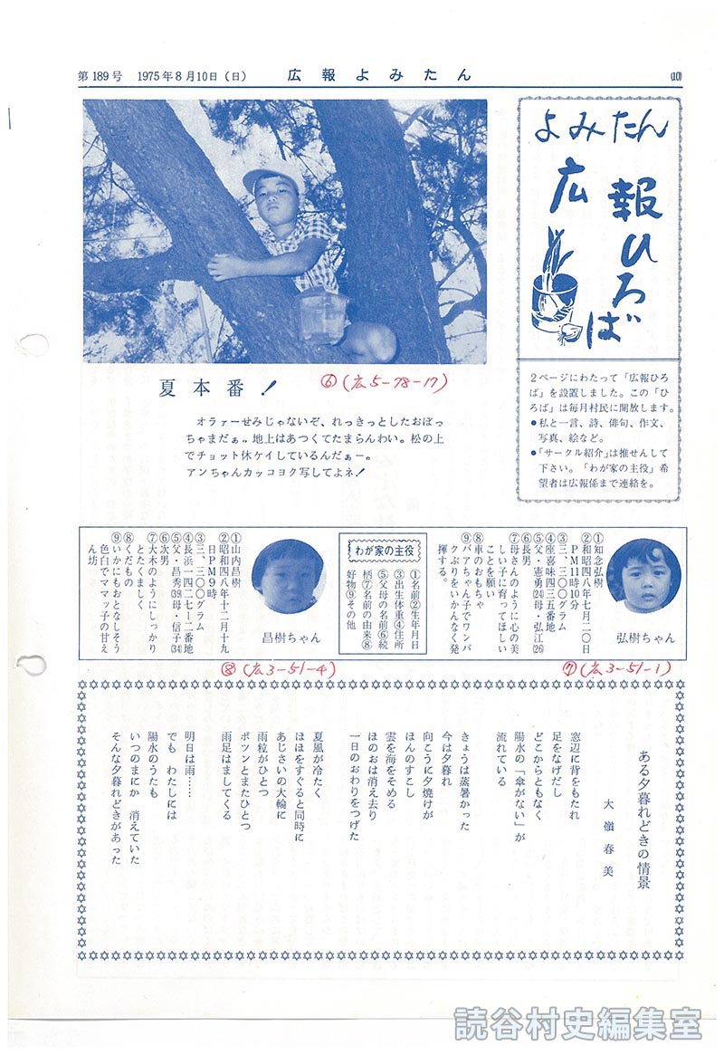 よみたん広報ひろば
夏本番！
わが家の主役
ある夕暮れどきの情景　大嶺春美