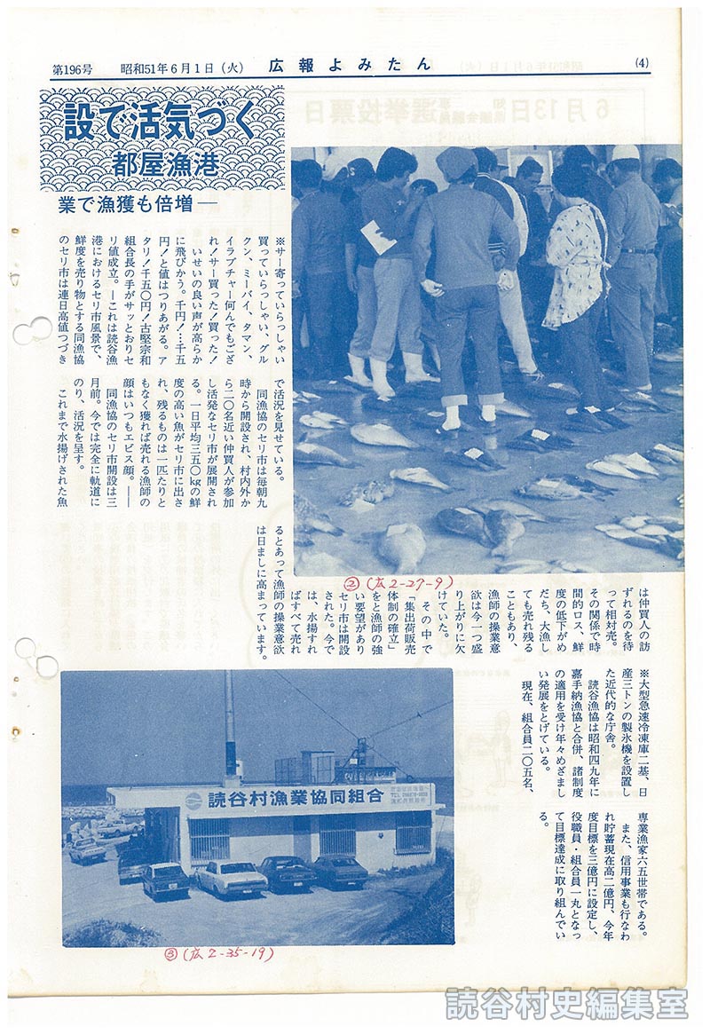 カメラルポ　セリ市開設で活気づく都屋漁港　－近代漁業で漁獲も倍増－