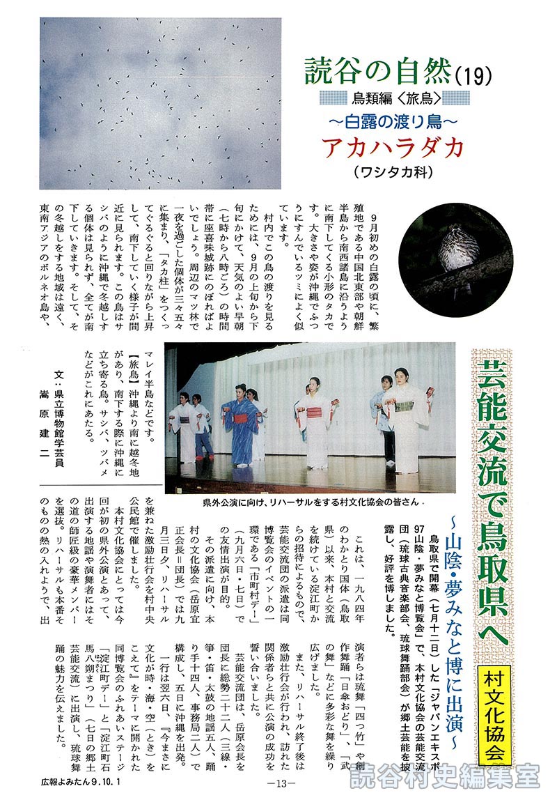 読谷の自然(19)=鳥類編<旅鳥>=　～白露の渡り鳥～　アカハラダカ(ワシタカ科)　芸能交流で鳥取県へ<村文化協会>～山陰･夢みなと博に出演～