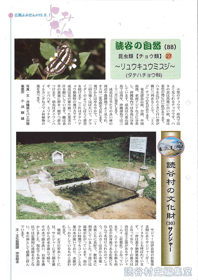 読谷の自然（88）昆虫類【チョウ類】27～リュウキュウミスジ～（タテハチョウ科）