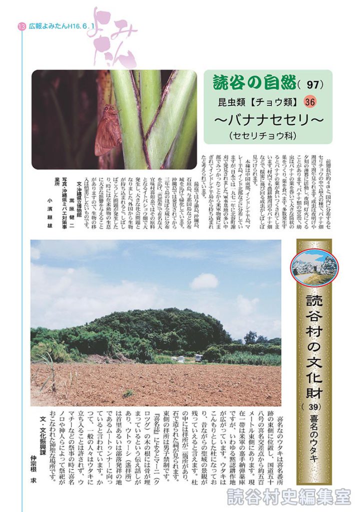 読谷村の文化財（39）　喜名のウタキ