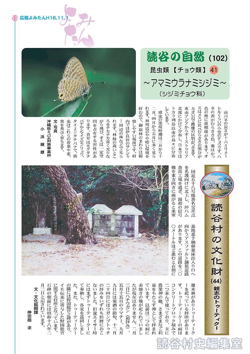 読谷の自然（102）昆虫類【チョウ類】41　～アマミウラナミシジミ～（シジミチョウ科）