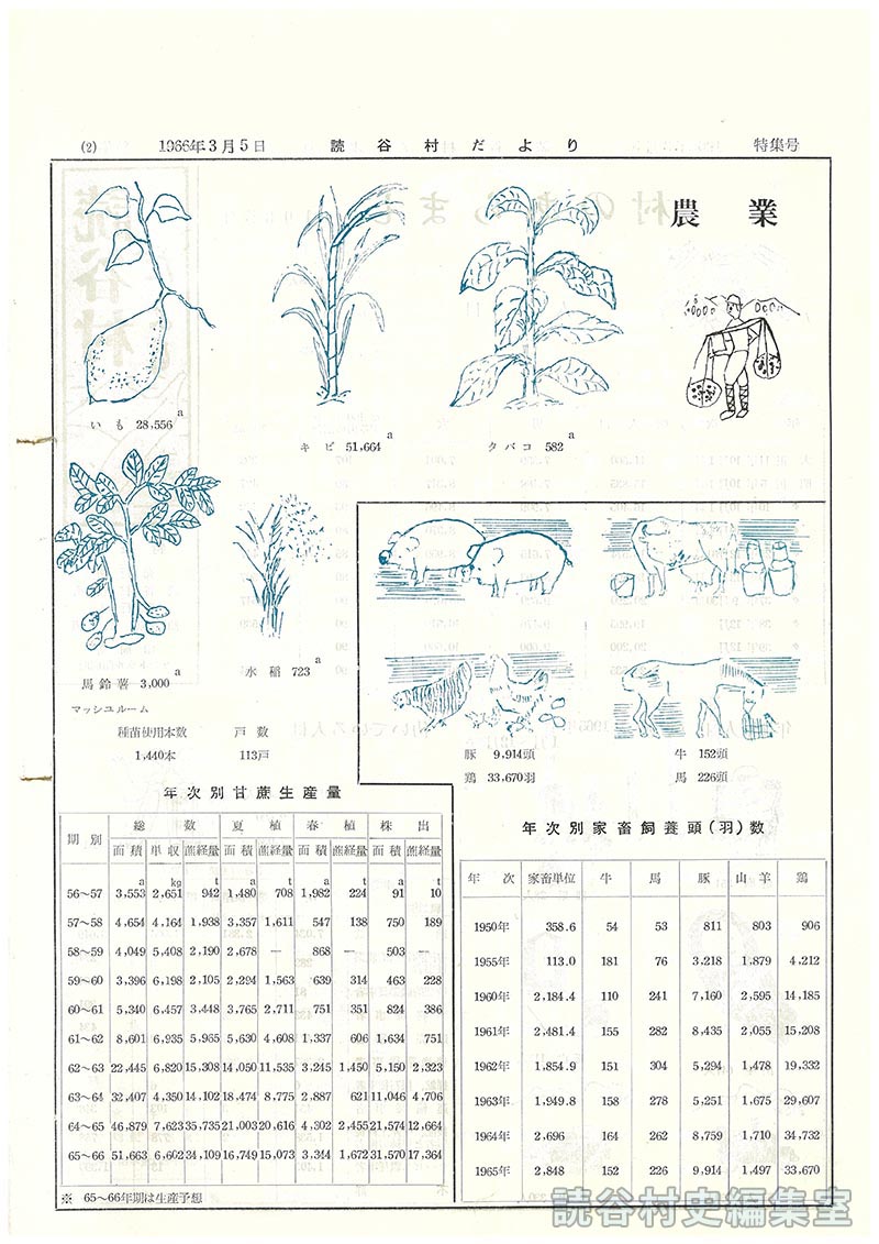 農業　
年次別家畜飼養頭（羽）数
年次別甘蔗生産量（６５～６６期は生産予想）